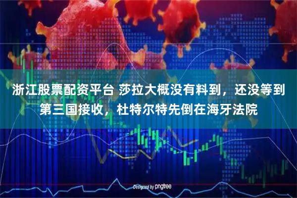 浙江股票配资平台 莎拉大概没有料到，还没等到第三国接收，杜特尔特先倒在海牙法院
